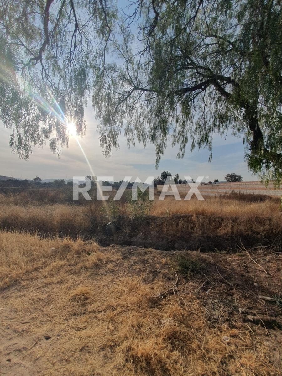 Fotos adicionales