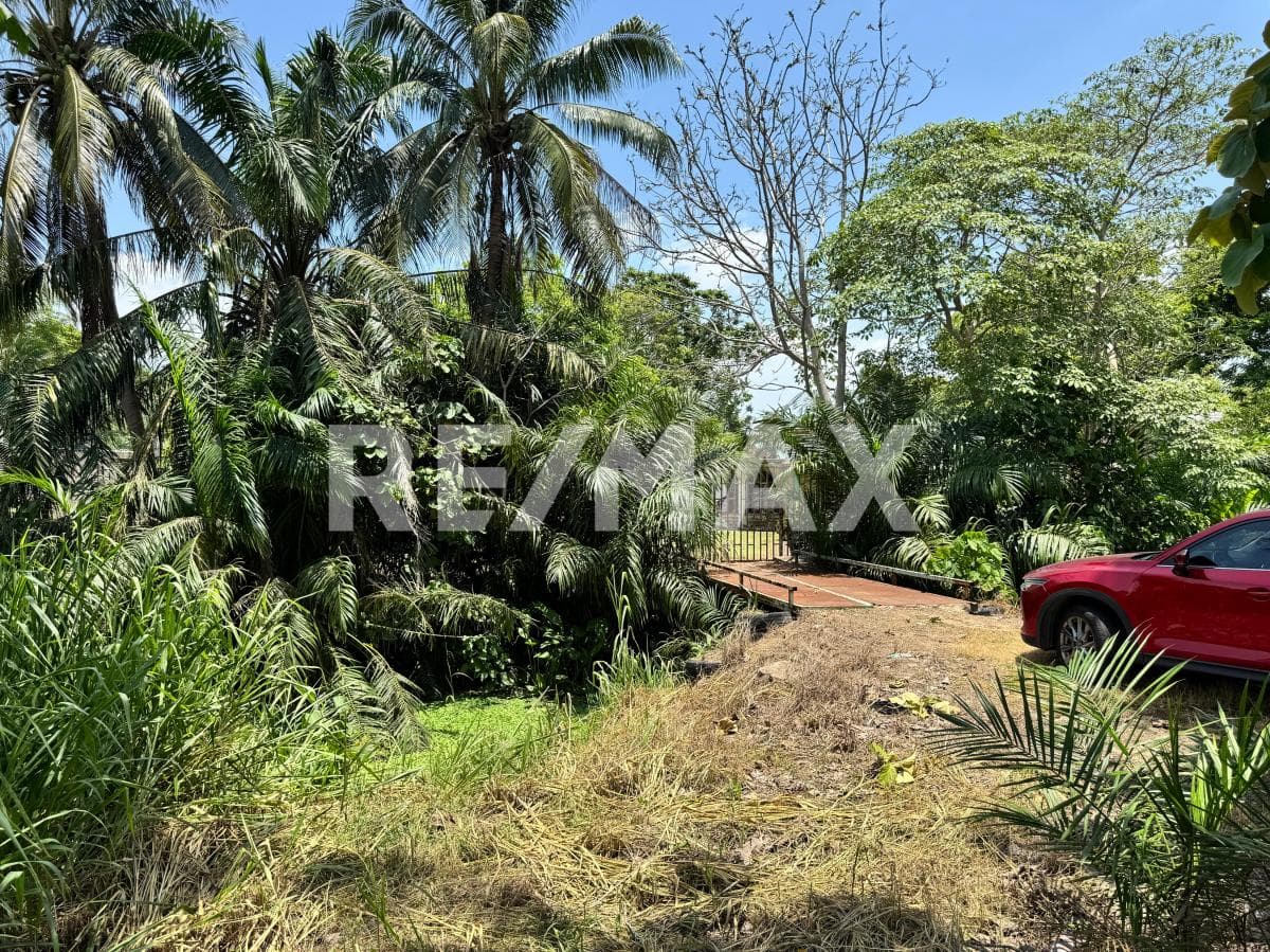 Fotos adicionales