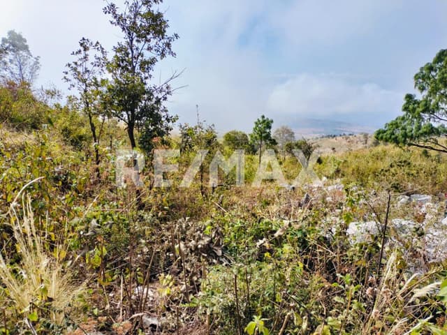 Terreno rustico sobre Carretera San Cristóbal-Tuxtla