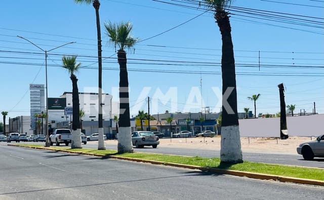 TERRENO COMERCIAL EN RENTA