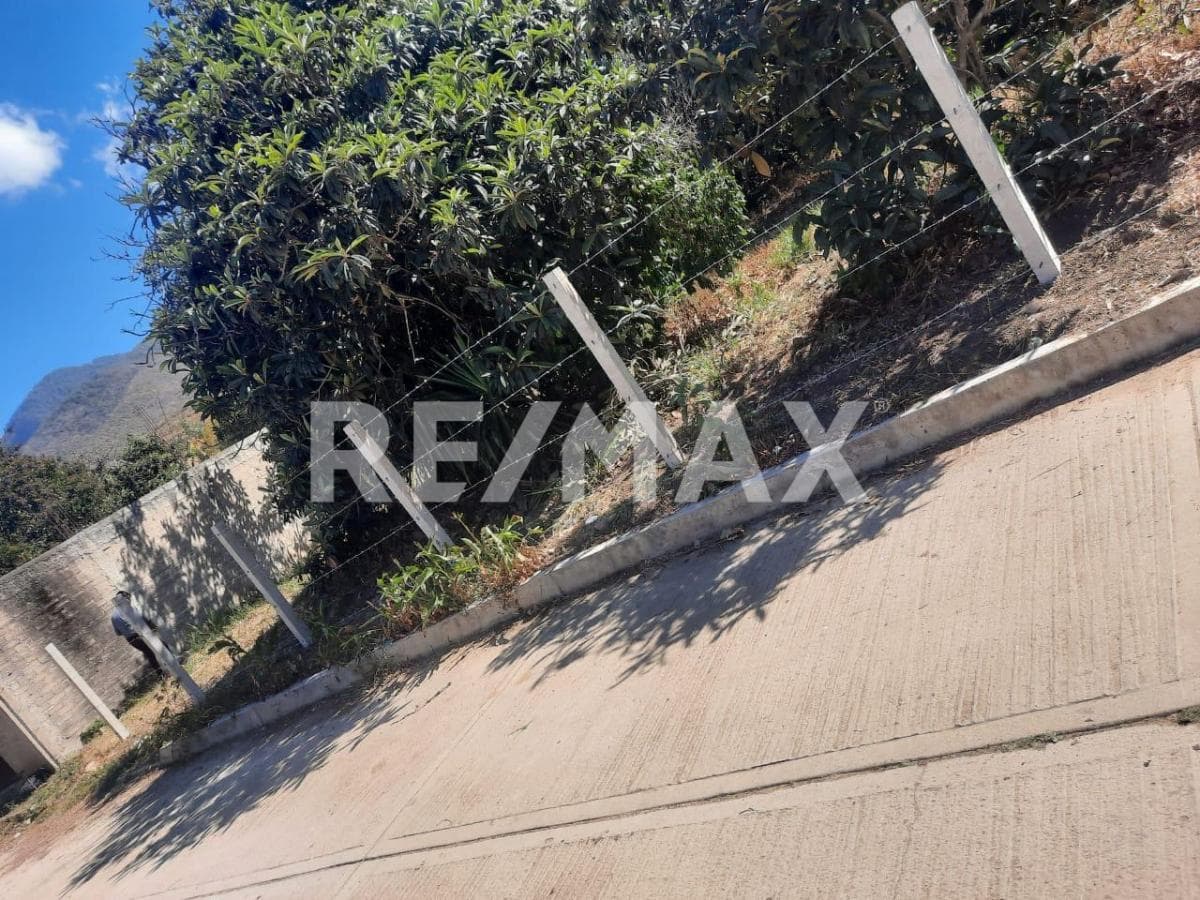 Fotos adicionales