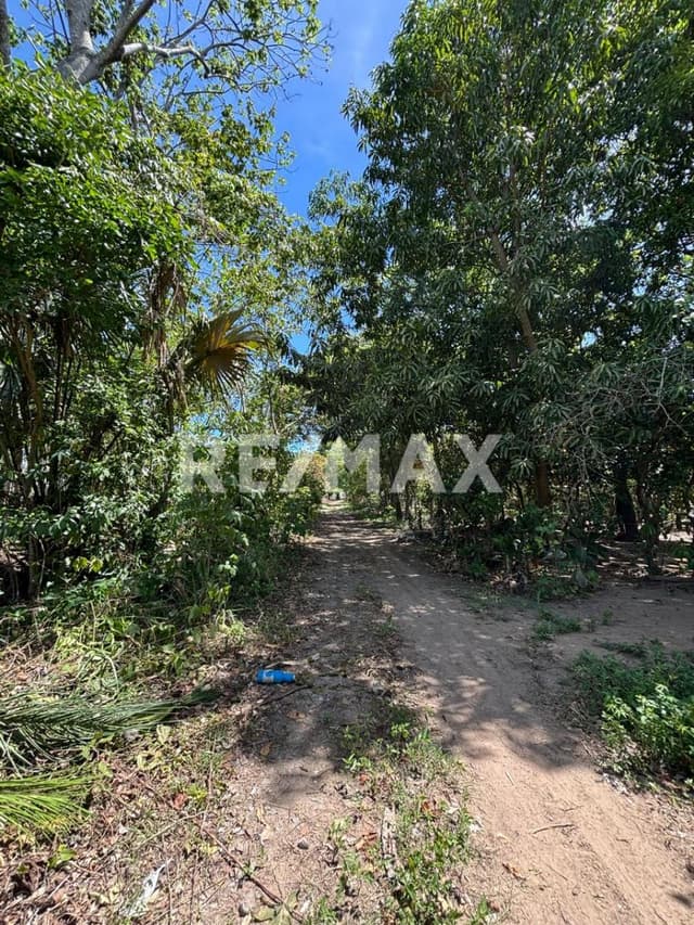 PREDIO EN VENTA UBICADO EN ACACHAPAN Y COLMENA 1RA SECCION