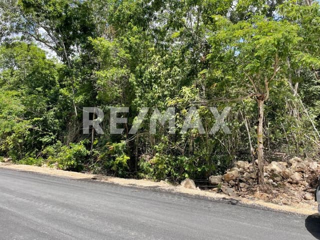 TERRENO EN VENTA UBICADO EN TULUM, QRO.