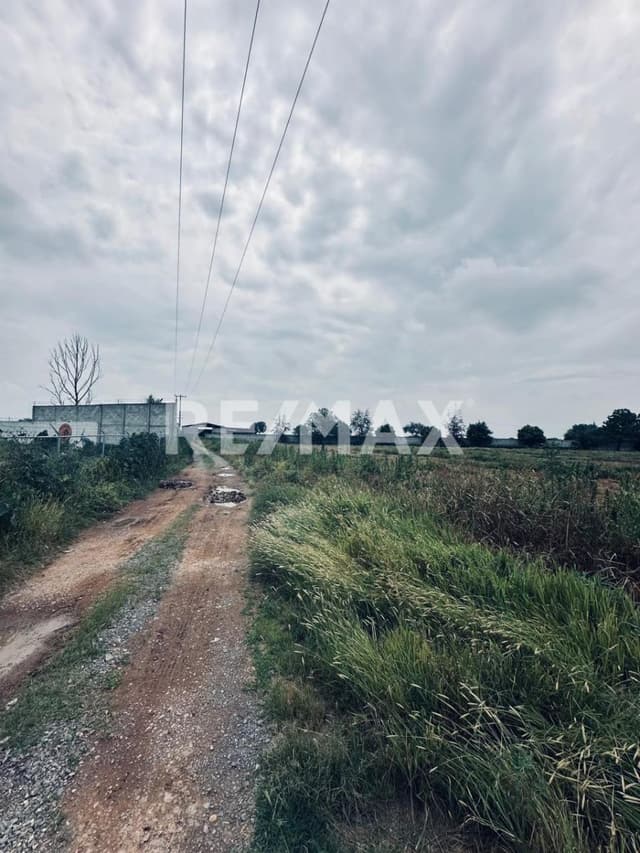 RENTA TERRENO A UN LADO ZOOLOGICO WAMERU EL MARQUES QUERETARO