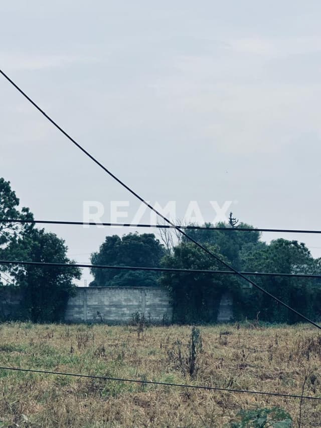 RENTA TERRENO A UN LADO ZOOLOGICO WAMERU EL MARQUES QUERETARO