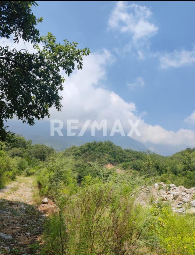 TERRENO CAMPESTRE EN CARRETERA NACIONAL COMUNIDAD LOS CRISTALES