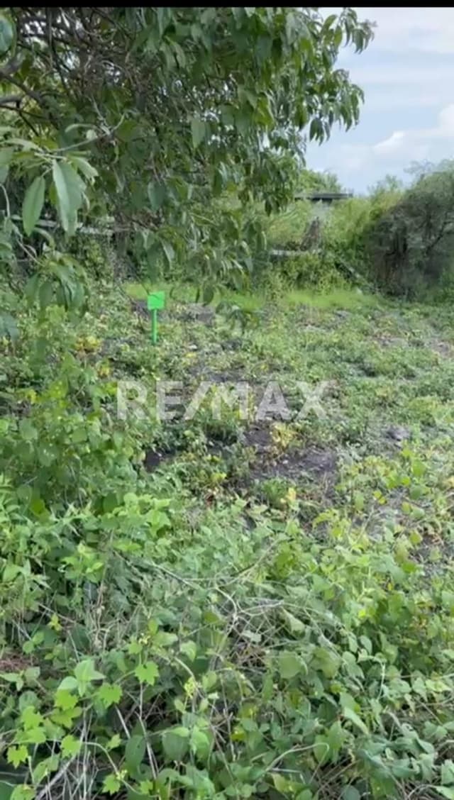 Terreno en Venta