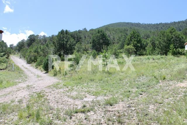 Terreno VENTA en Campestre Los Andes