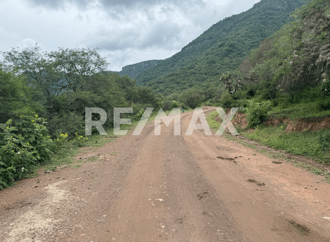 Fotos adicionales