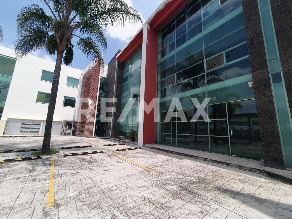 Fotos adicionales