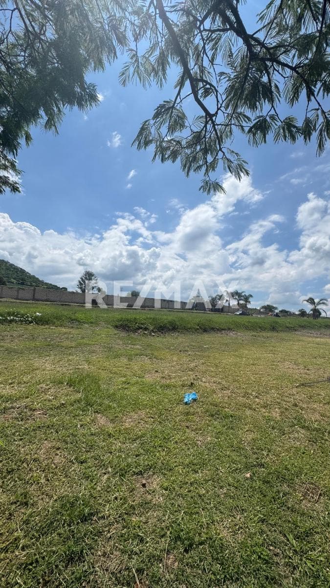 Fotos adicionales