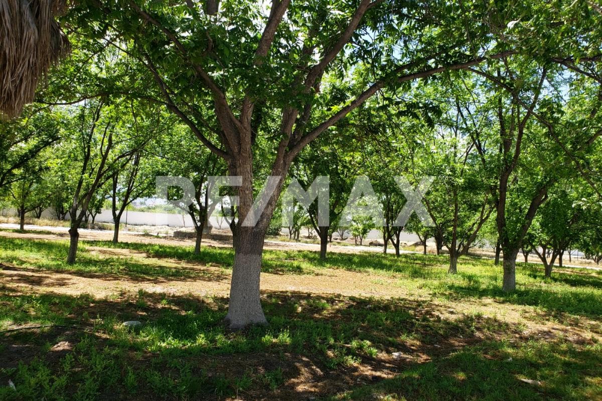 Fotos adicionales