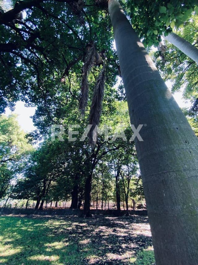 Venta de terreno en el Centro de Xochitepec, Morelos...Clave 5936