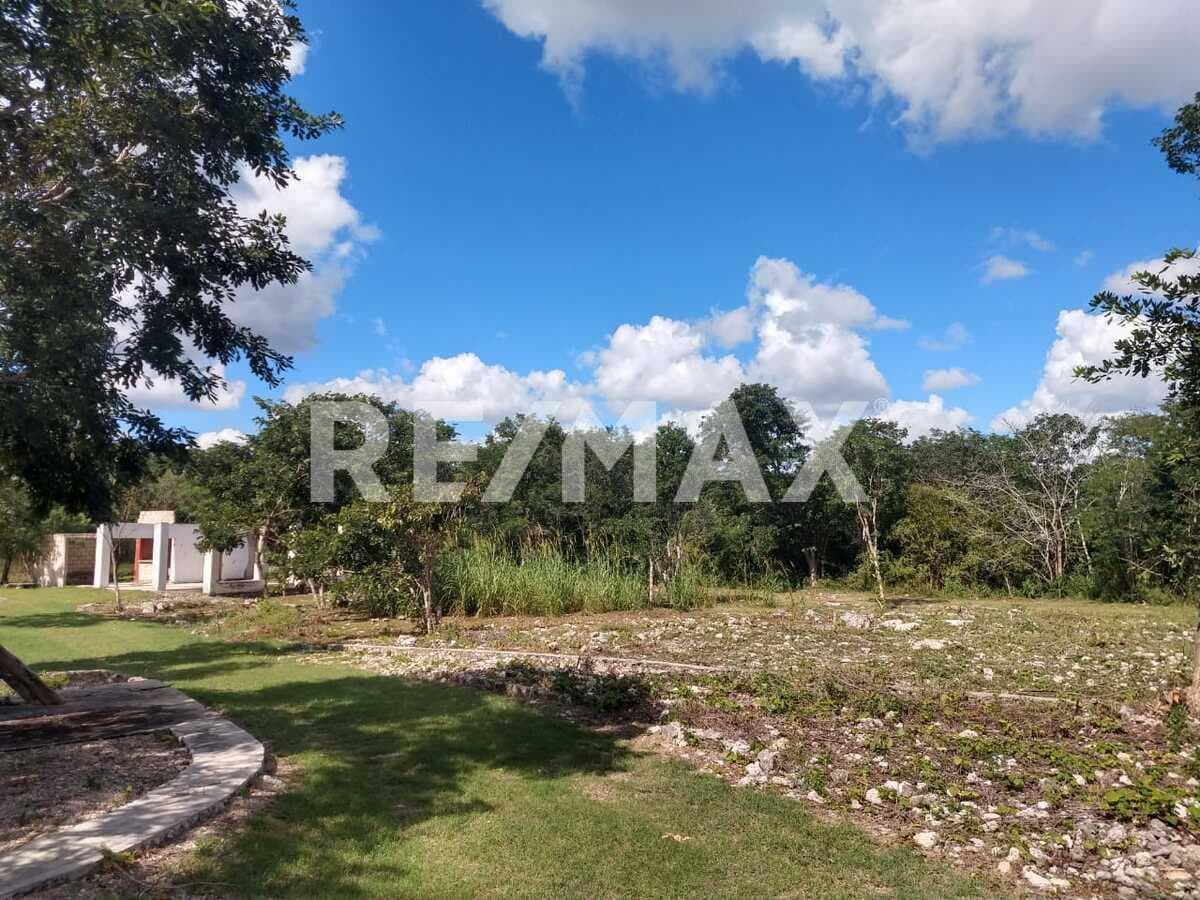 Fotos adicionales