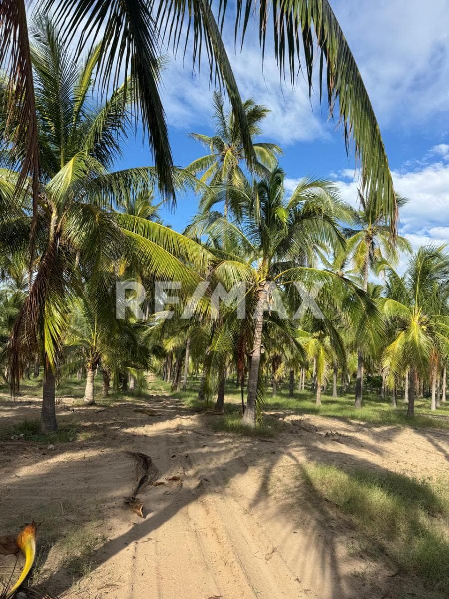 Fotos adicionales