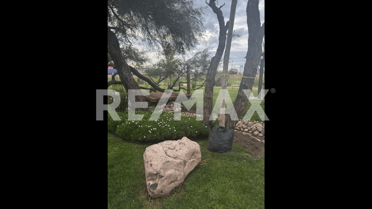 Fotos adicionales