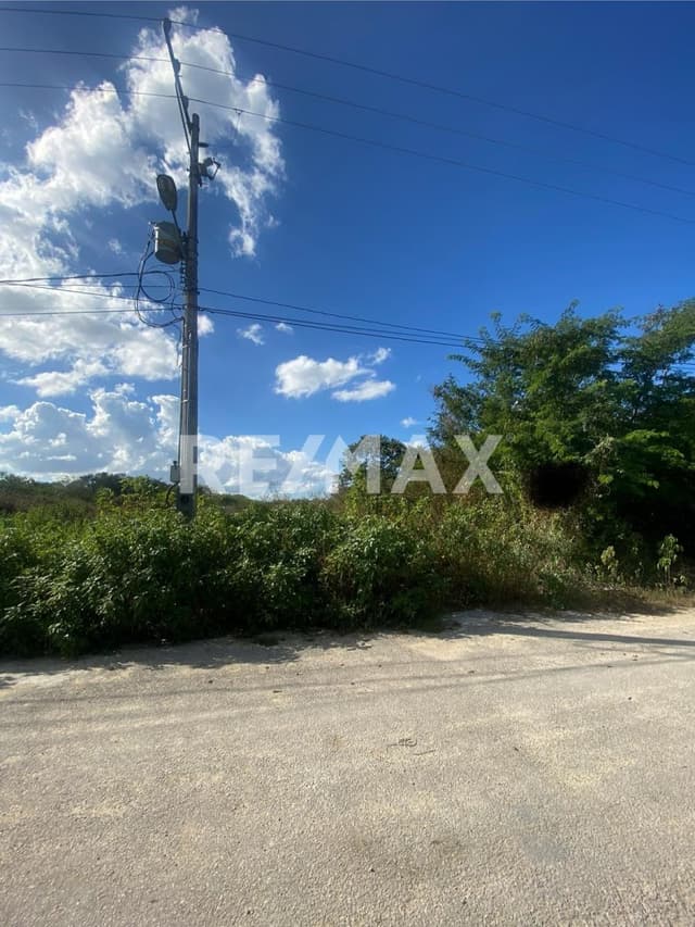 Terreno en Temozón excelente ubicación