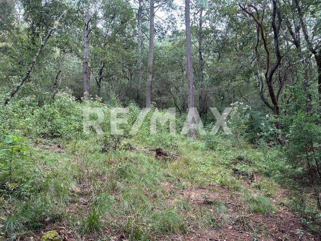 Terreno en Corral de Piedra en venta