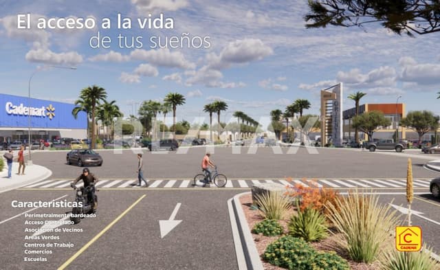 VALLE ORIENTE MODELO OLIVO