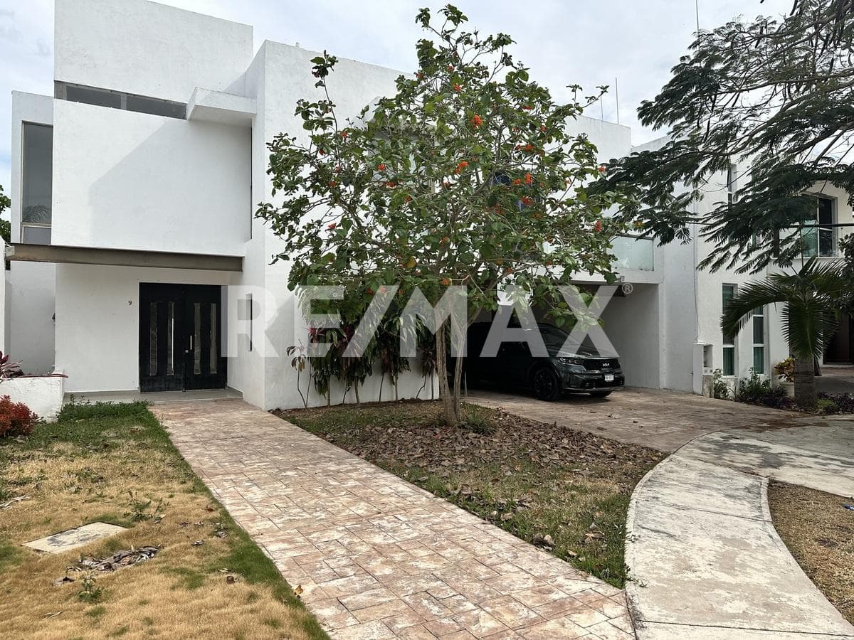 Fotos adicionales