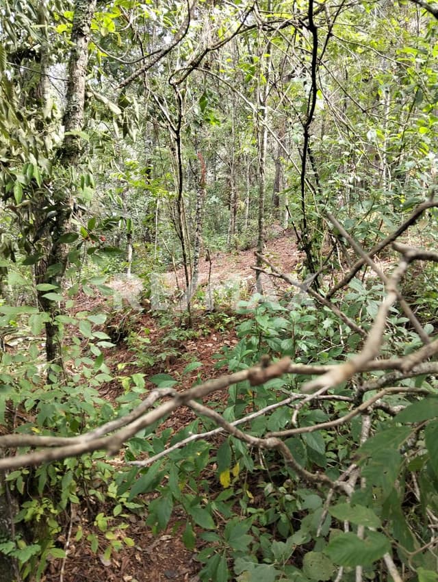 TERRENO EN VENTA ,SOBRE LAS MONTAÑAS.