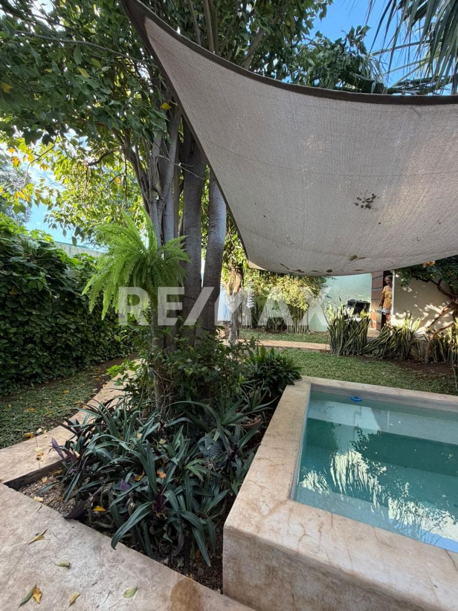 Fotos adicionales
