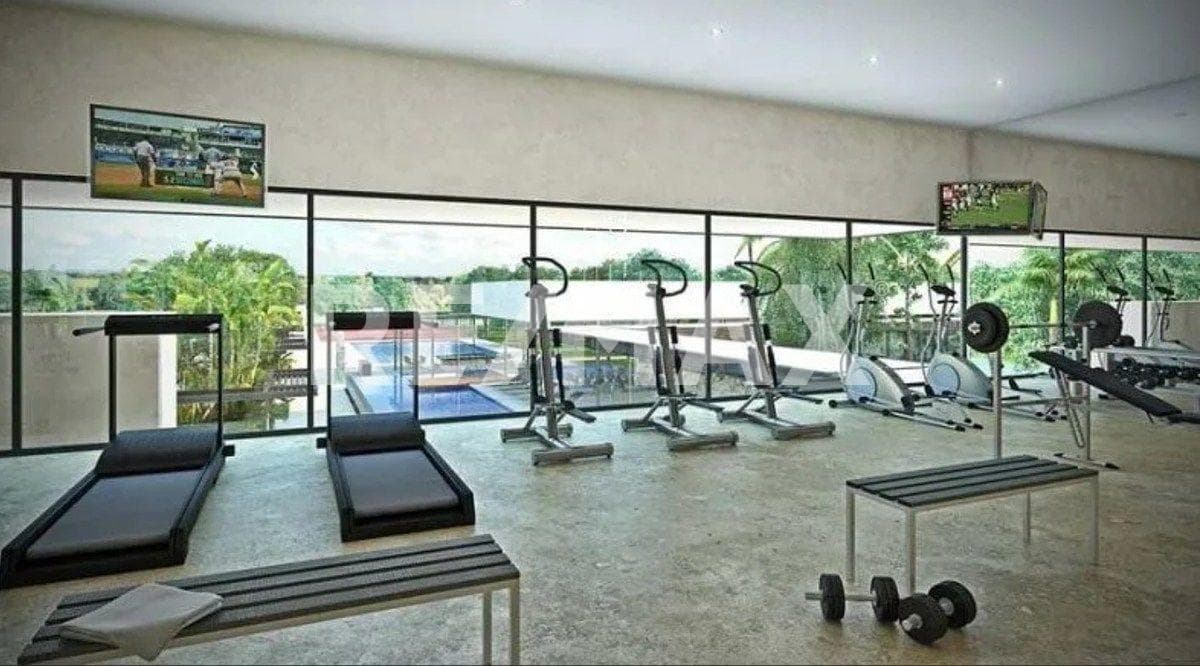 Fotos adicionales