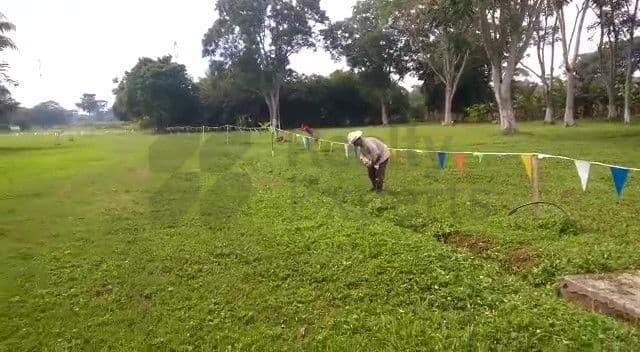 Terrenos en Venta en Sin Colonia