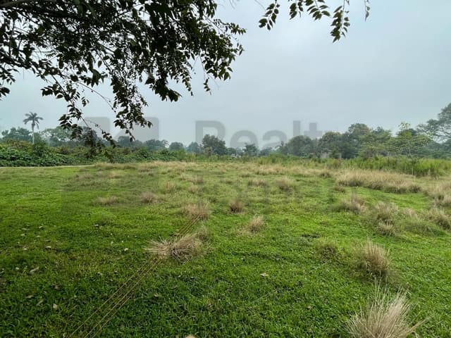 Terrenos en Venta en Plátano y Cacao 4ta. Sección