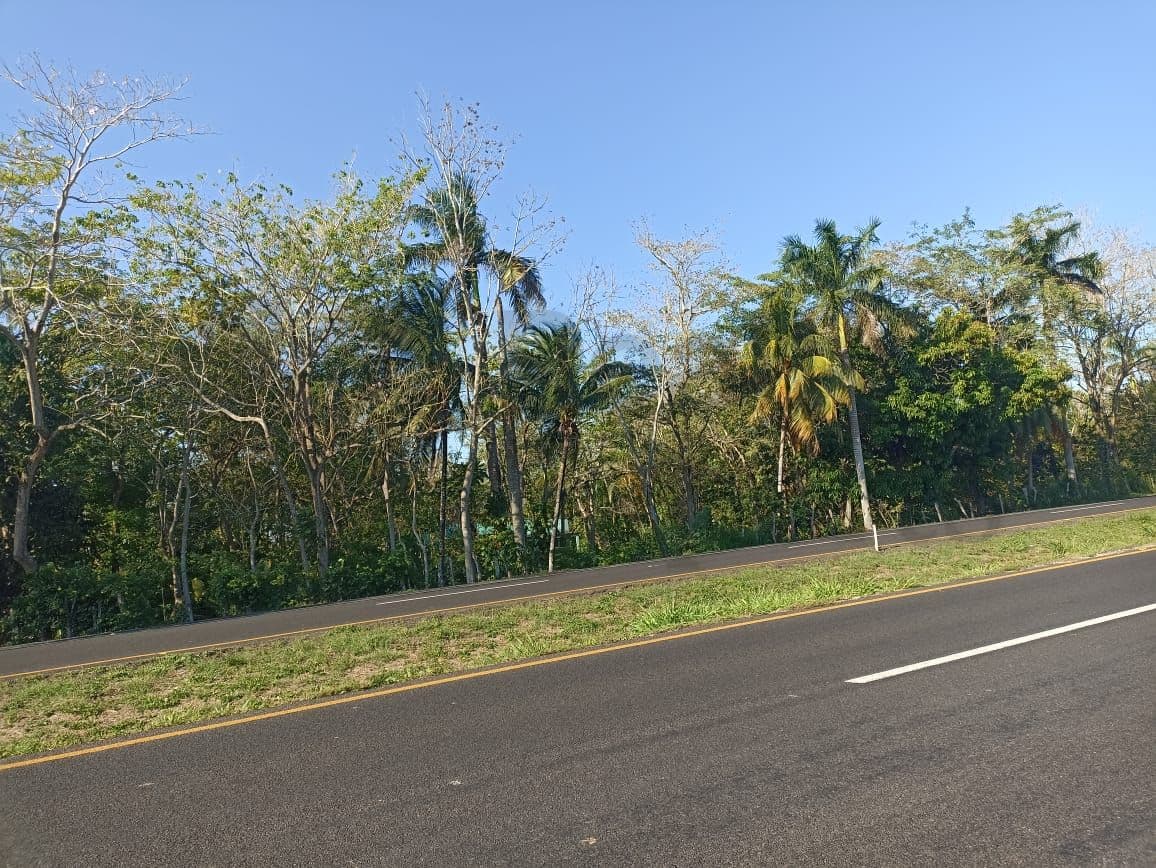 Fotos adicionales