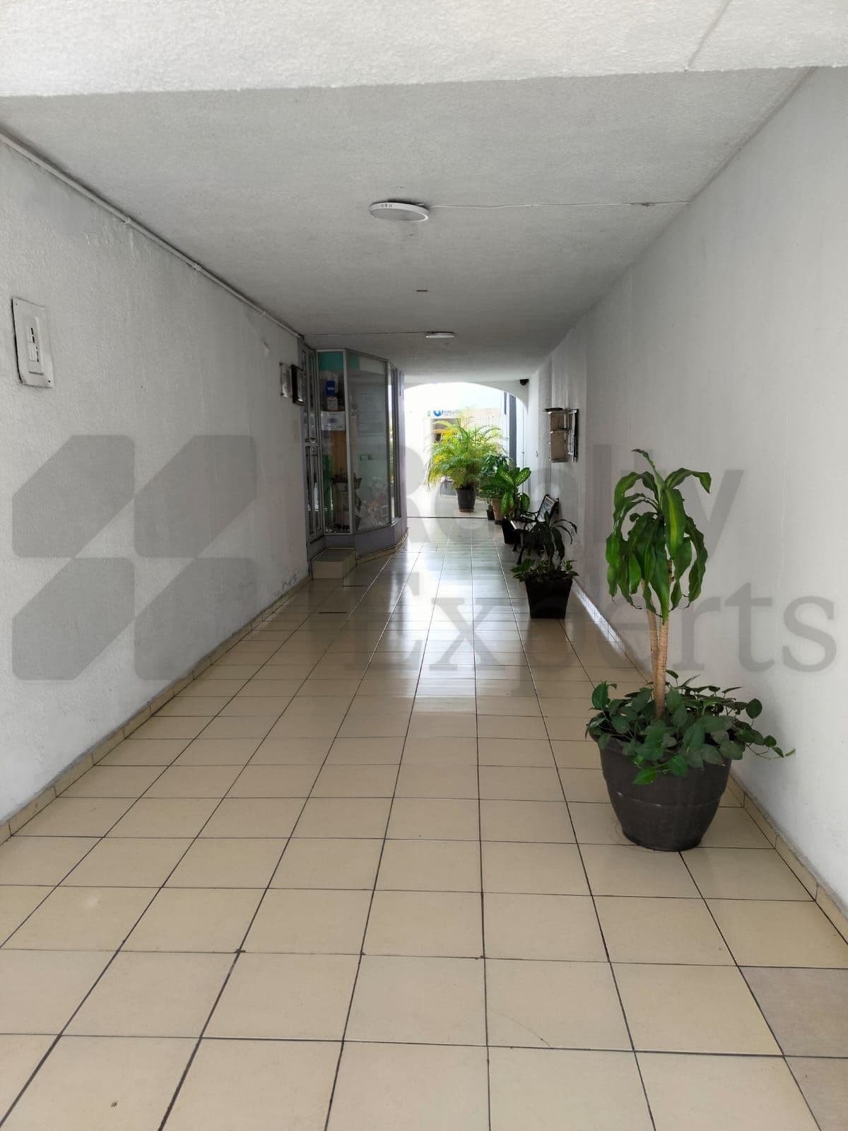 Fotos adicionales