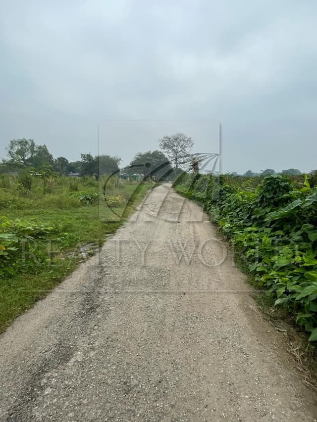Terrenos en Venta en Plátano y Cacao 4ta. Sección
