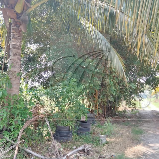 Terrenos en Venta en Sin Colonia