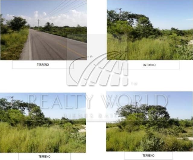 Terrenos en Venta en Sin Colonia