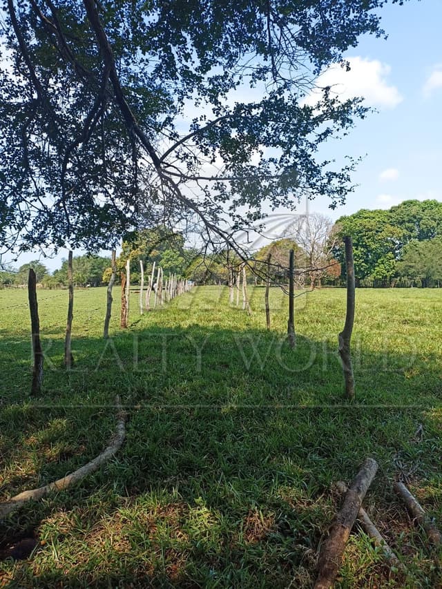 Terrenos en Venta en Sin Colonia