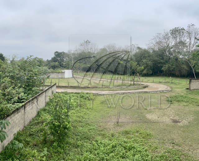 Terrenos en Venta en Cedros