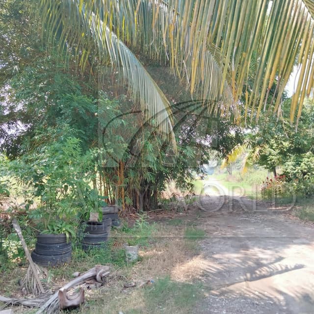 Terrenos en Venta en Sin Colonia