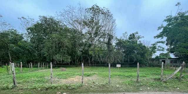 Terrenos en Venta en Cedros