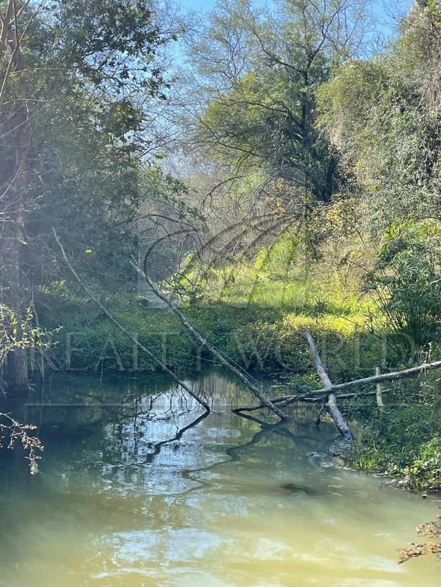 Terrenos en Venta en Sin Colonia