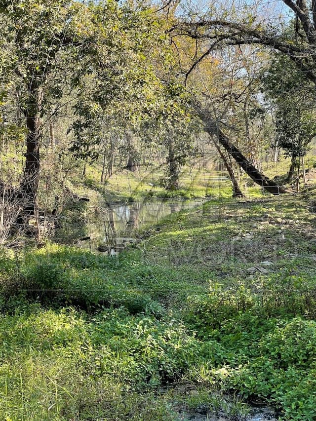 Terrenos en Venta en Sin Colonia