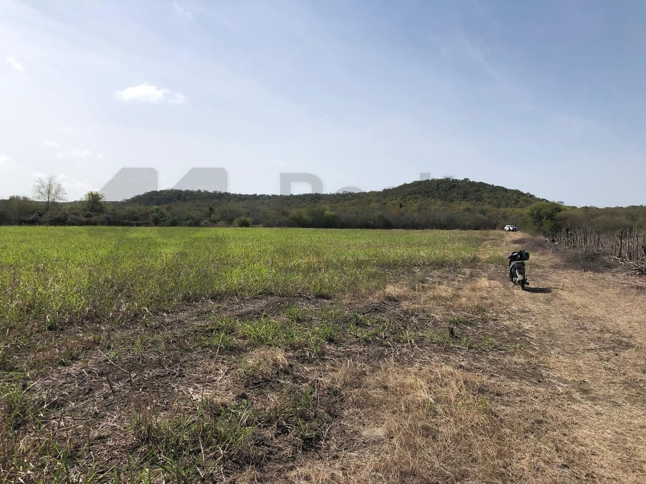 Fotos adicionales