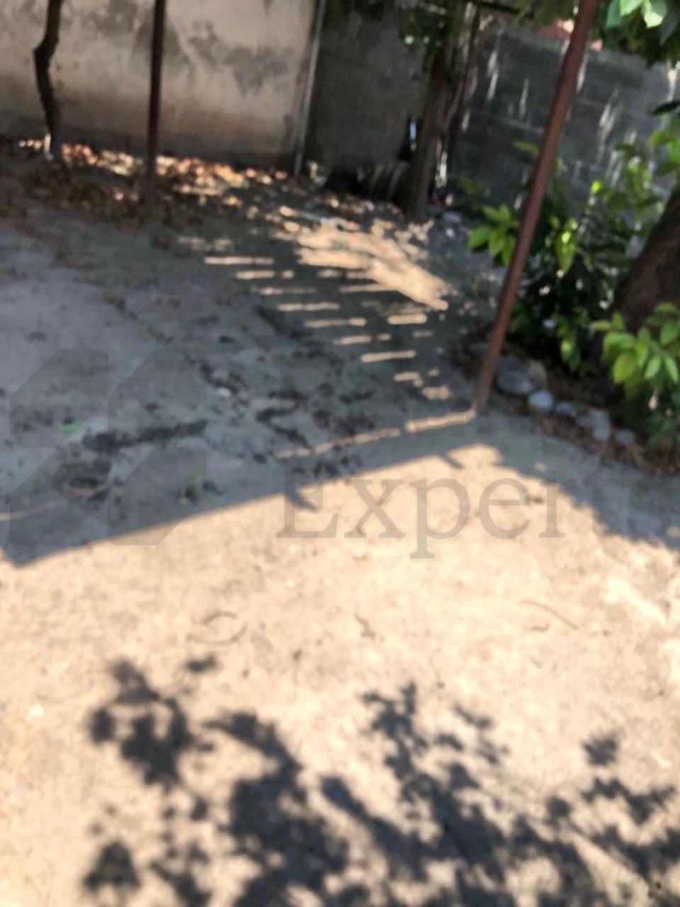 Fotos adicionales