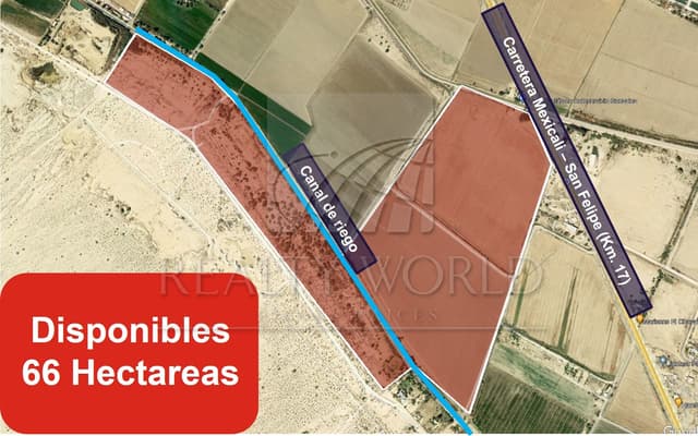 Terrenos en Venta en Cerro Prieto 4