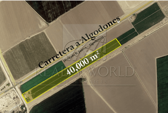 Terrenos en Venta en Benito Juárez (Ejido Tecolotes)