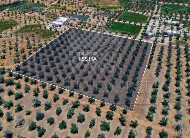 Terrenos en Venta en Francisco Zarco