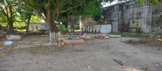 Terrenos en Venta en Guadalupe Borja