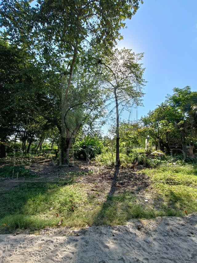 Terrenos en Venta en Buena Vista Río Nuevo 4a Sección