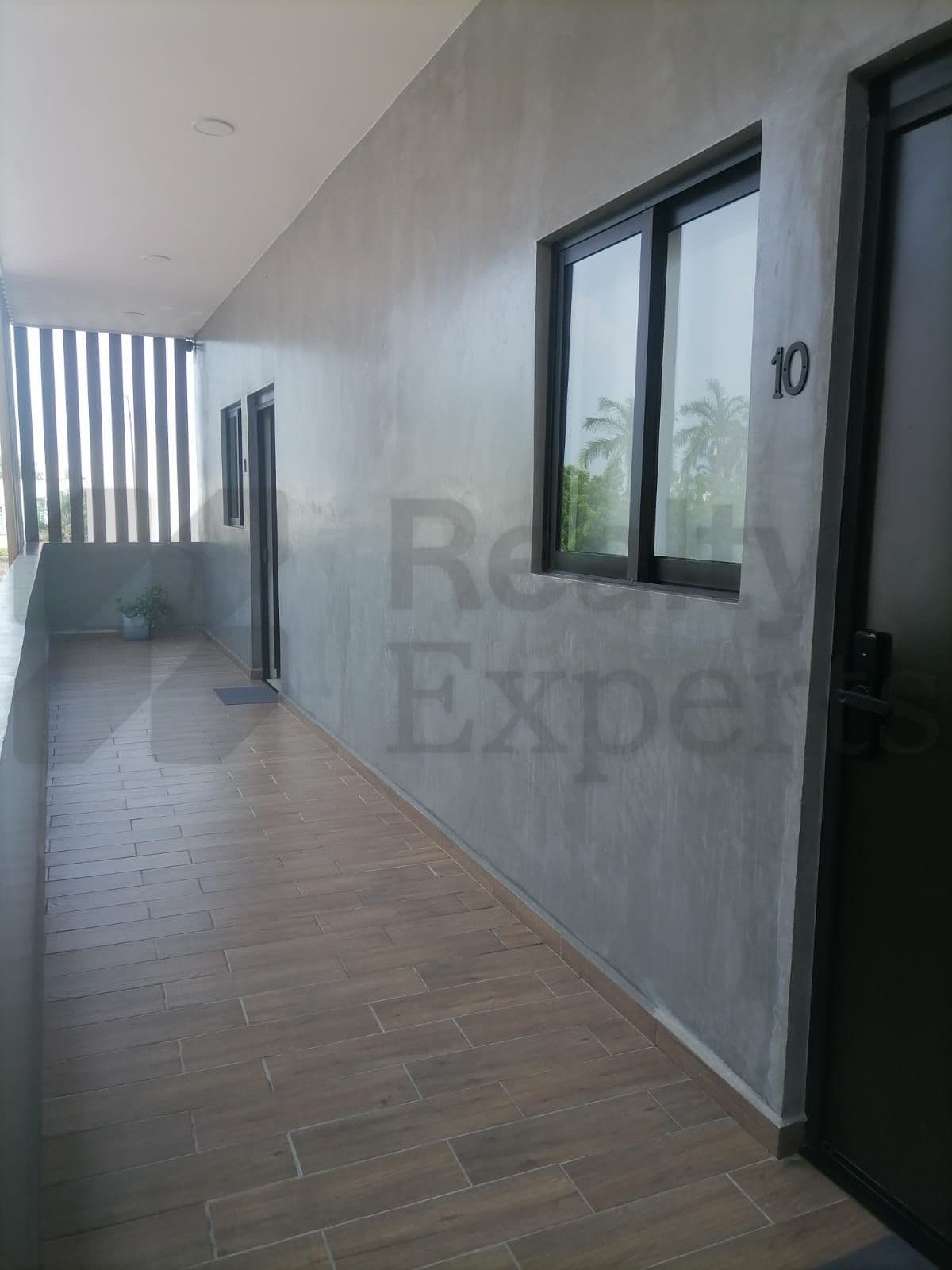 Fotos adicionales