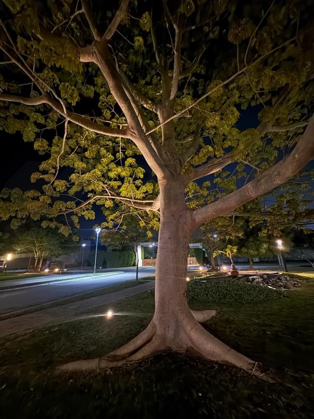 Terrenos en Venta en Jardines de Mazaltepec