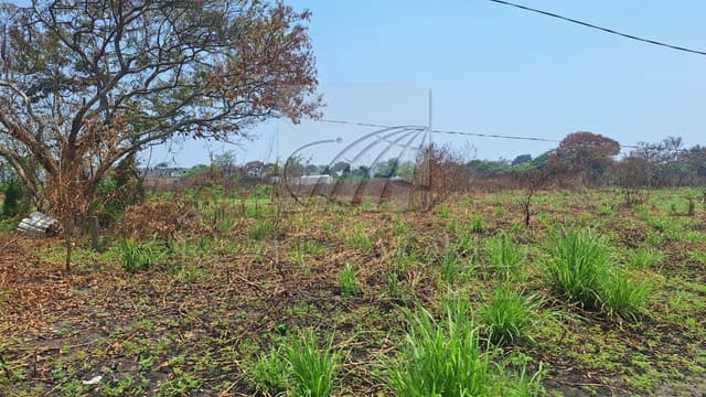 Terrenos en Venta en Plutarco Elias Calles Cura Hueso